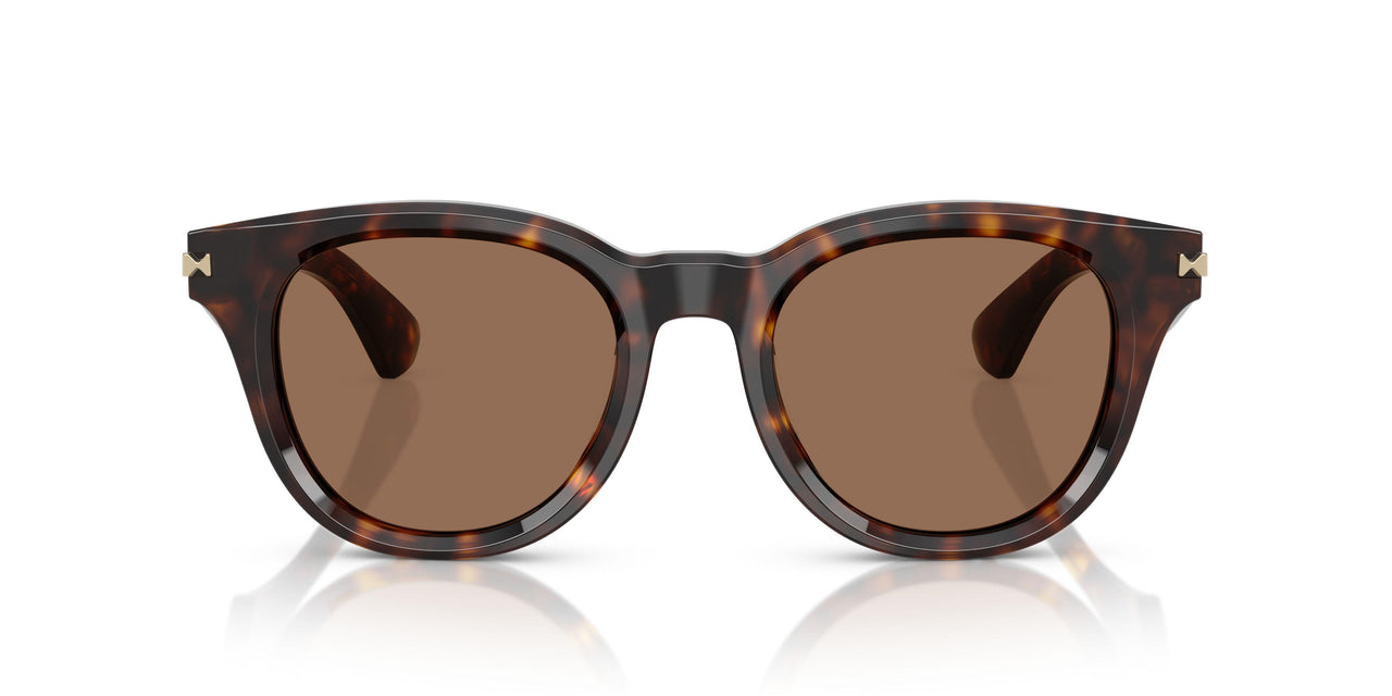 300273 - Brown - Dark Brown