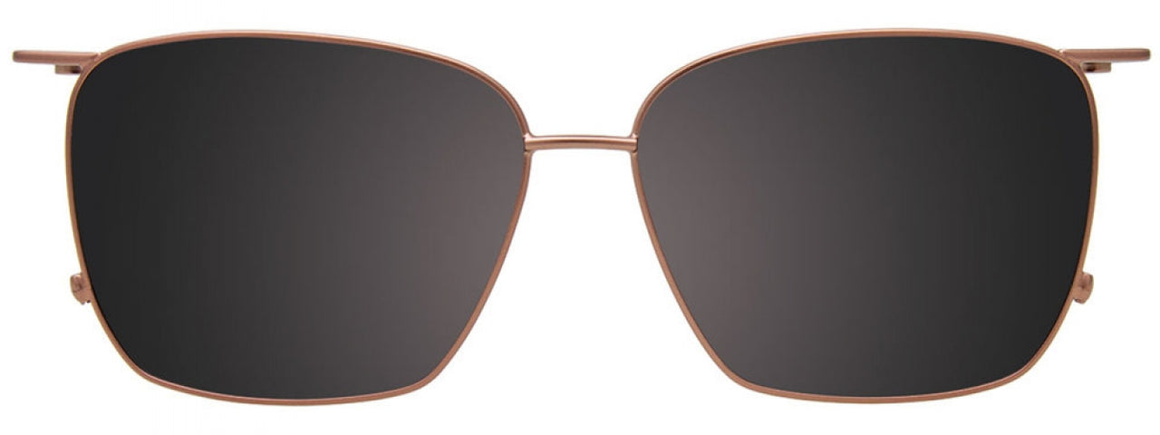 15 - Light Grey Tortoise & Brown / Brown