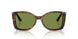 24/4E - Tortoise - Green