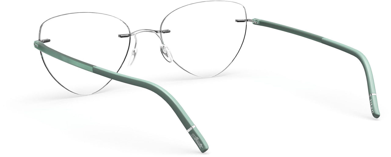 7110 - silver