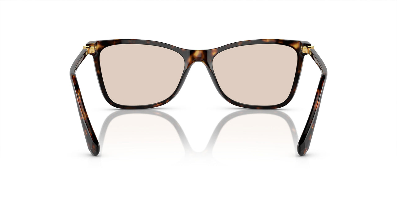 1002M4 - Brown - Photo Brown