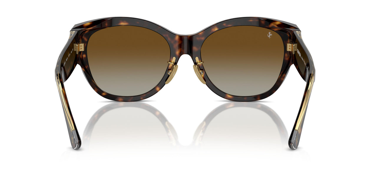 702/T5 - Tortoise - Brown Gradient Polar