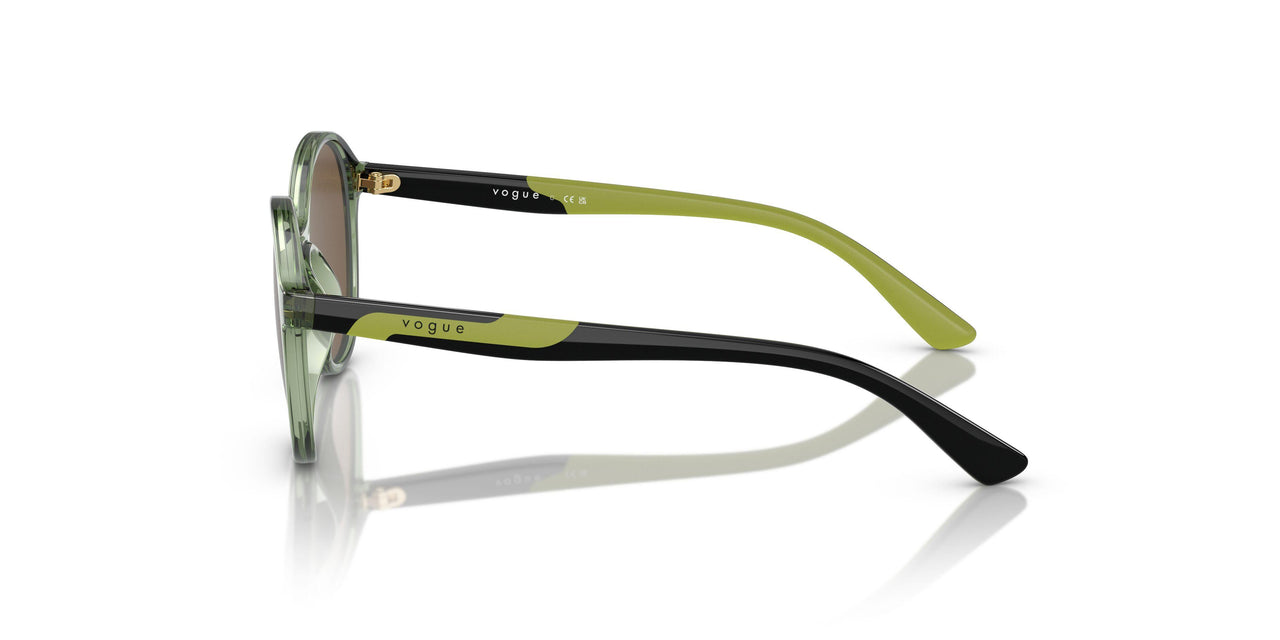 306773 - Transparent Dark Green - Dark Brown