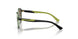 306773 - Transparent Dark Green - Dark Brown