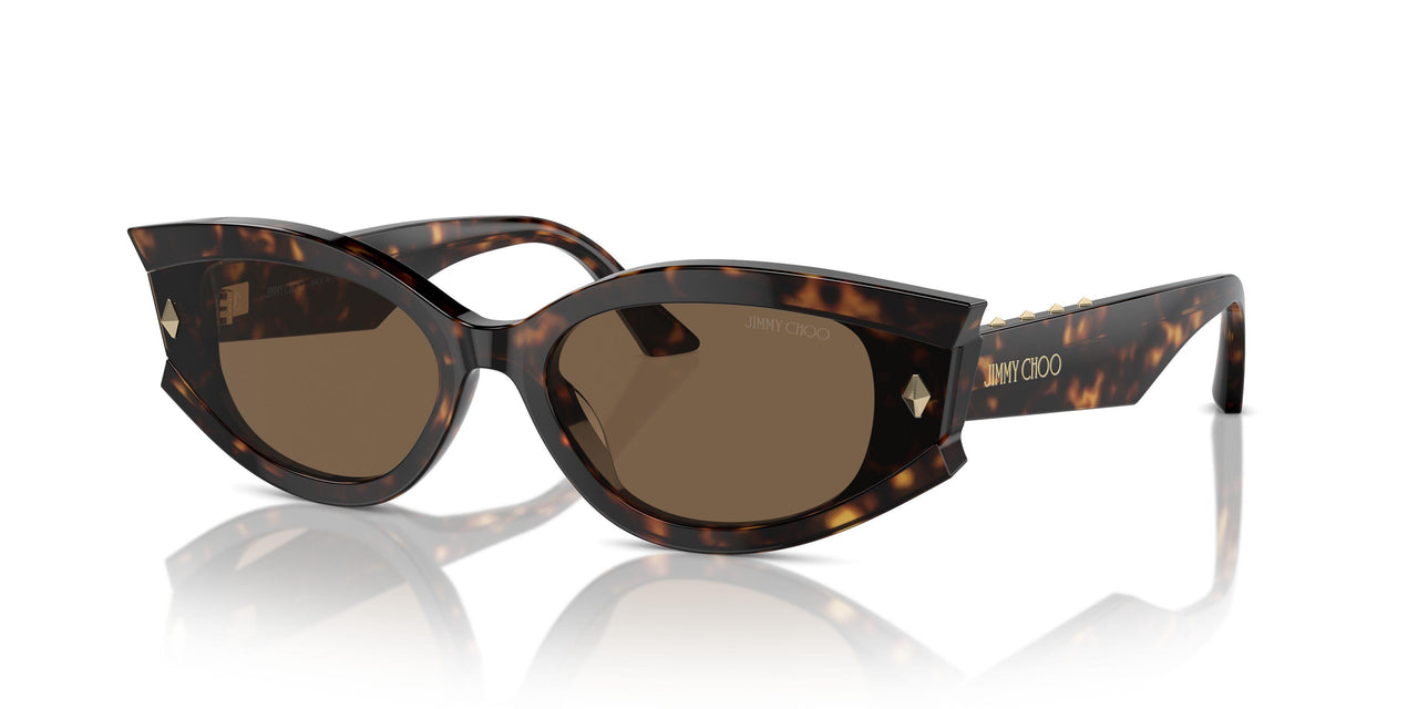 500273 - Tortoise - Dark Brown