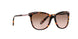 146114 - Pink - Brown Rose Gradient