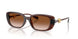 533213 - Brown - Brown Gradient