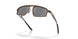 603104 - Brown - Prizm Black