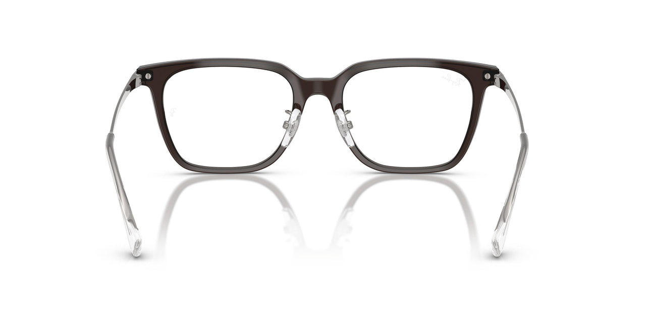 8290 - Brown - Clear