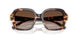 207213 - Tortoise - Brown Gradient
