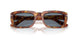 106/56 - Tortoise - Light Blue
