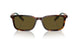 613773 - Tortoise - Olive Green