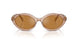 34016H - Brown - Gold Mirror