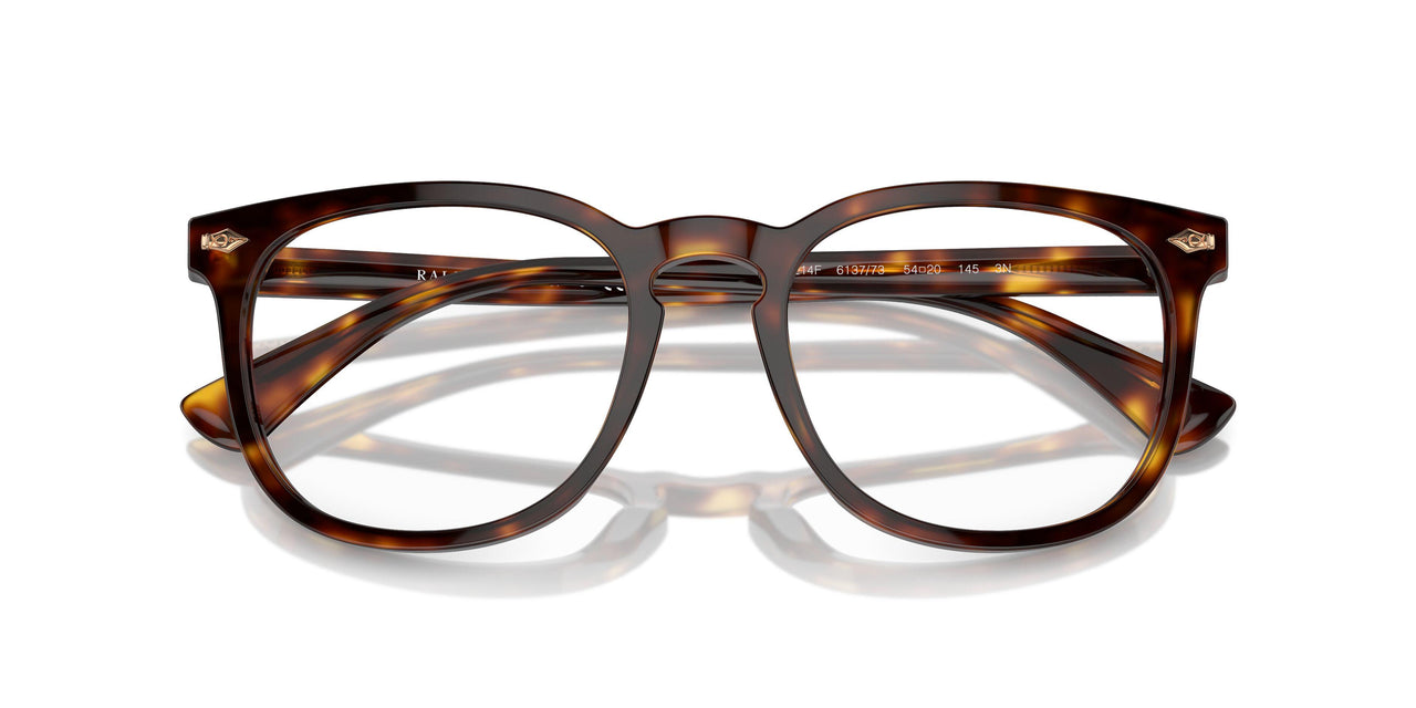 613773 - Tortoise - Brown