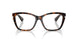 3002 - Brown