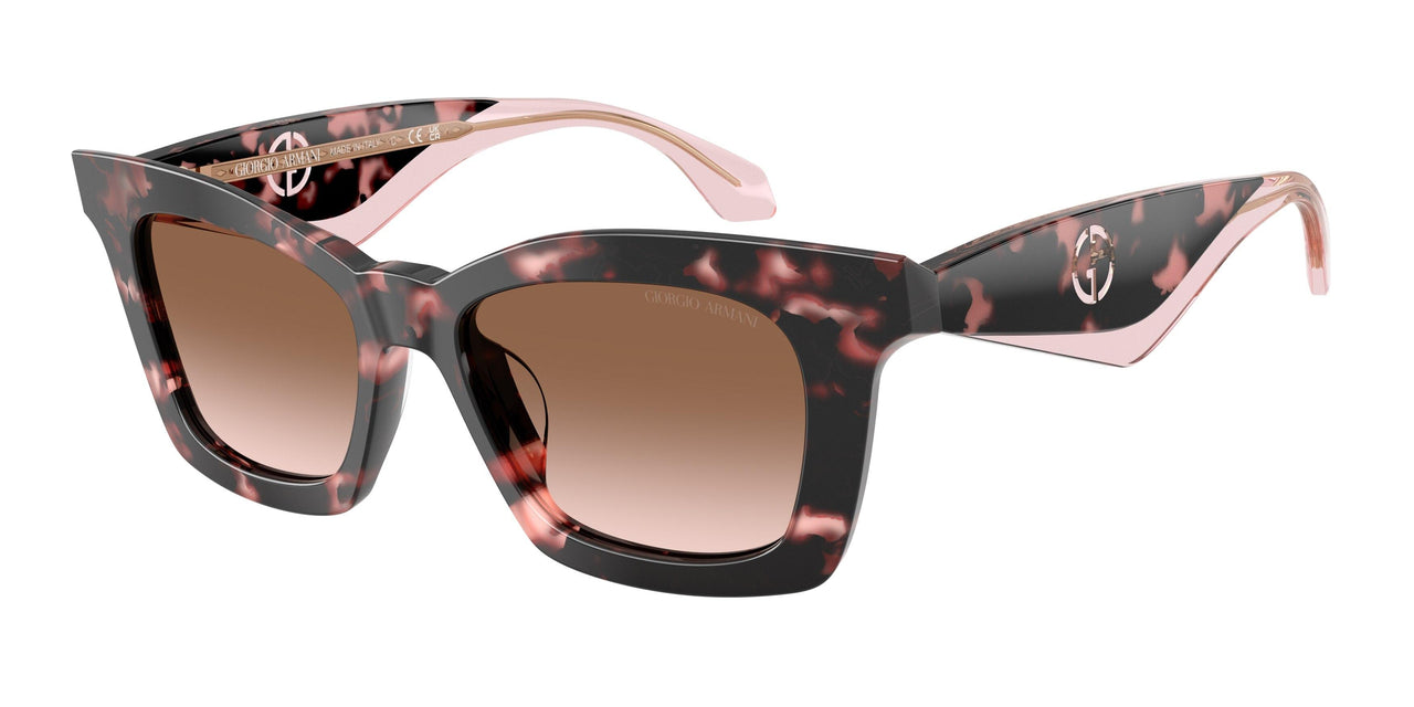 623013 - Tortoise - Brown Gradient