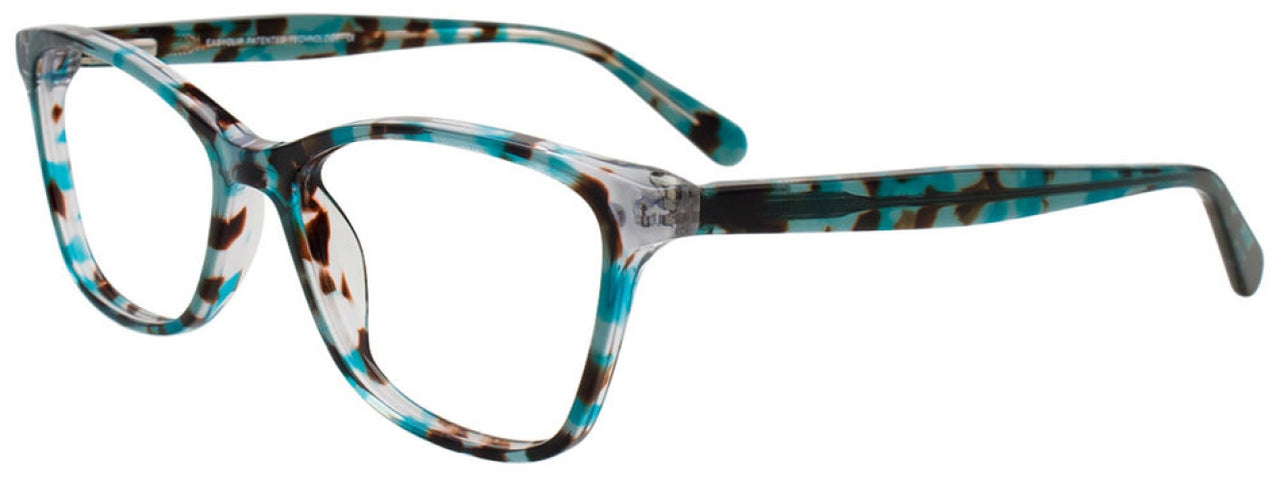 60 - Teal Tortoise