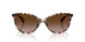 605813 - Tortoise - Gradient Brown