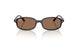 152/73 - Tortoise - Dark Brown