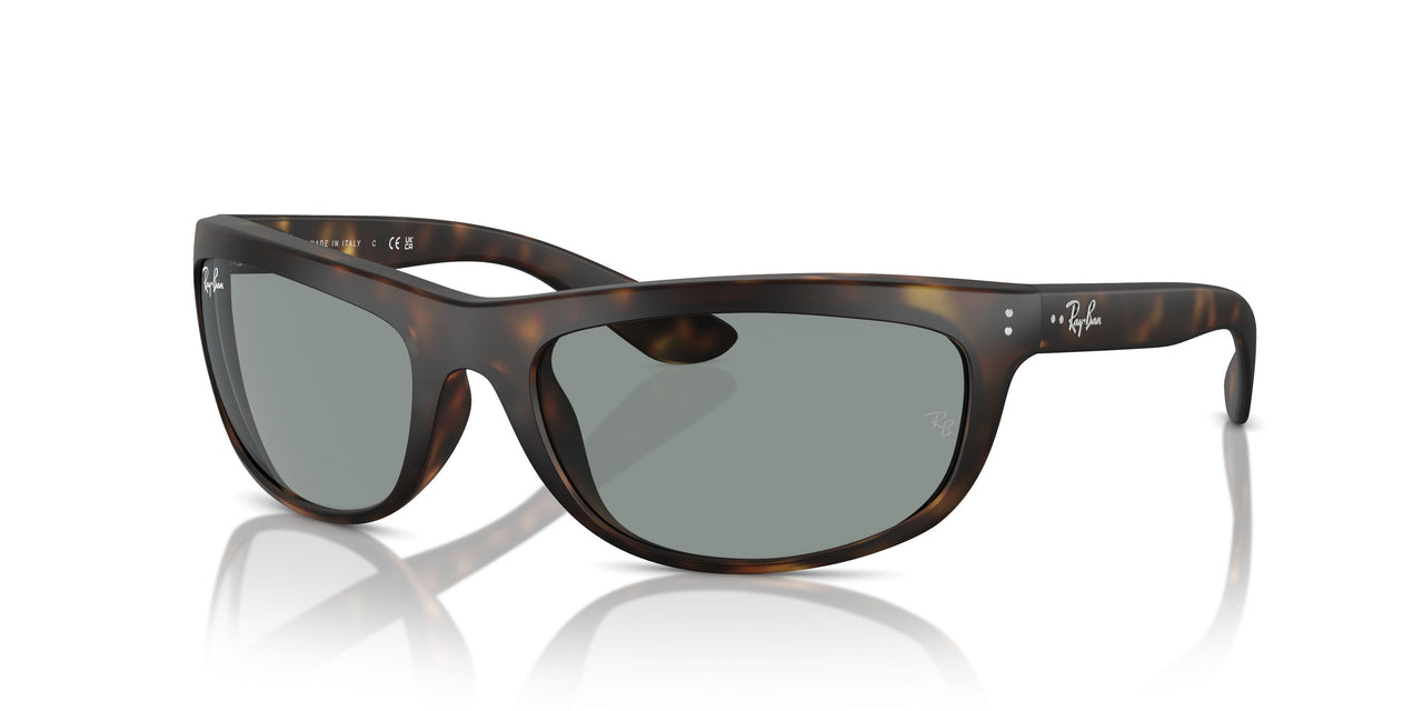 894/56 - Tortoise - Blue