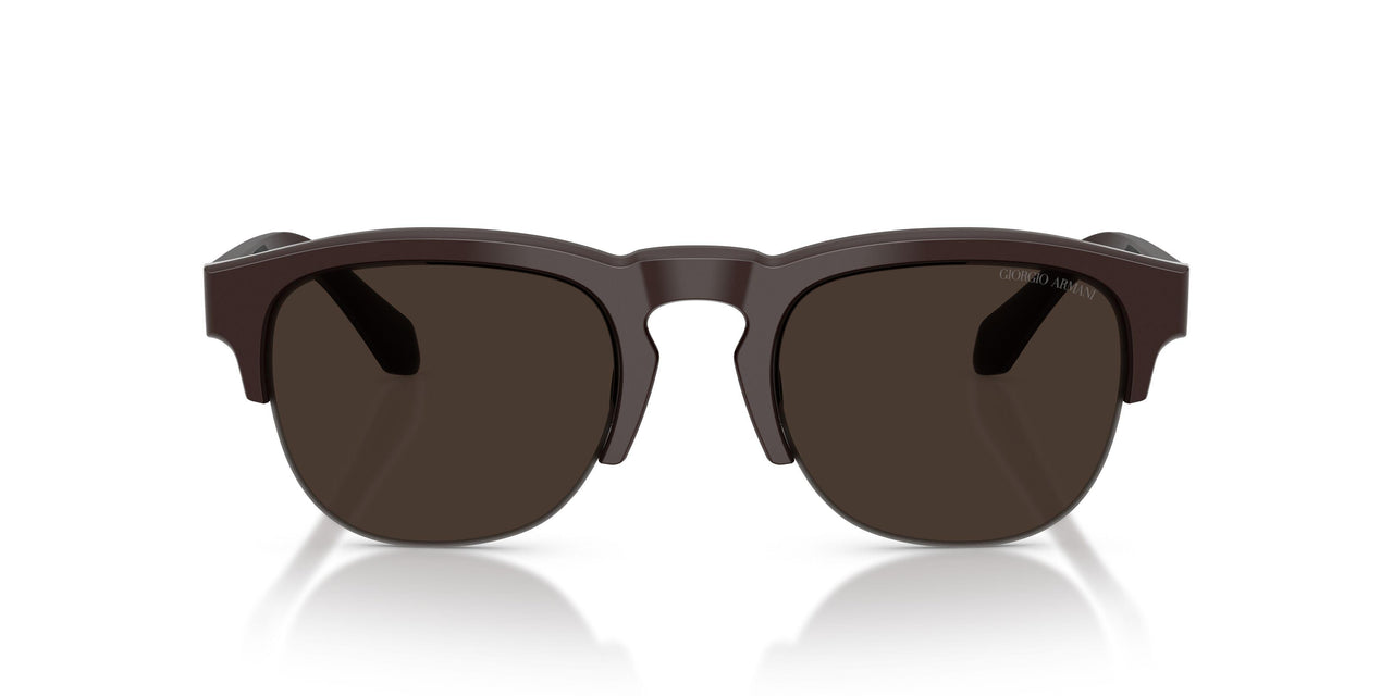 622073 - Brown - Brown