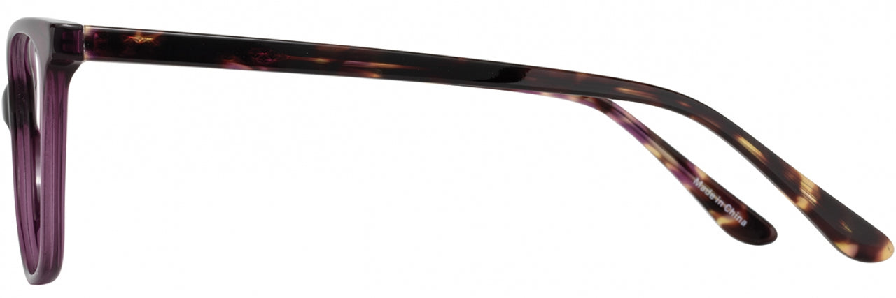 1 - Plum / Plum Tortoise