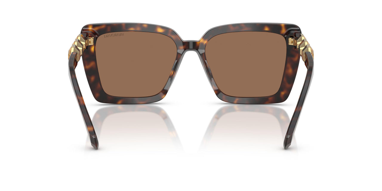 100273 - Tortoise - Dark Brown