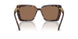 100273 - Tortoise - Dark Brown