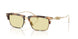 845485 - Brown - Brown