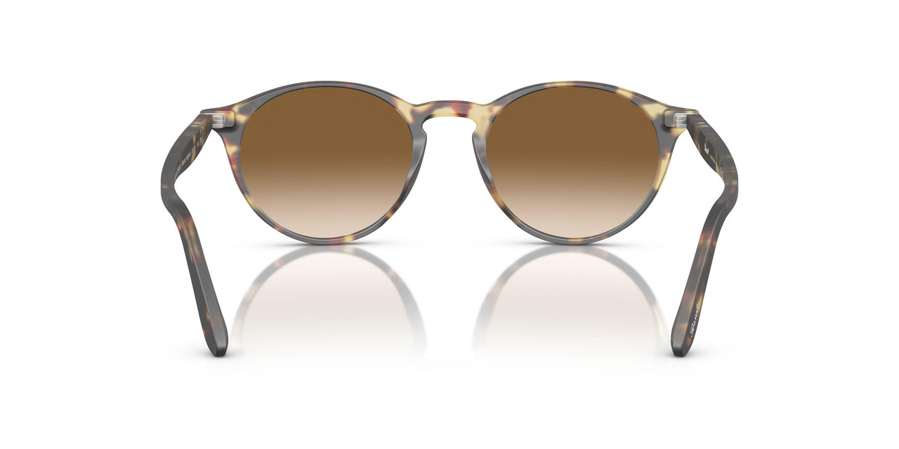 900551 - Tabacco Virginia - Gradient Brown