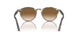 900551 - Tabacco Virginia - Gradient Brown