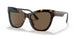 535973 - Havana - Dark Brown