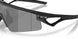 953101 - Black - Prizm Black