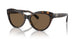 500373 - Tortoise - Brown