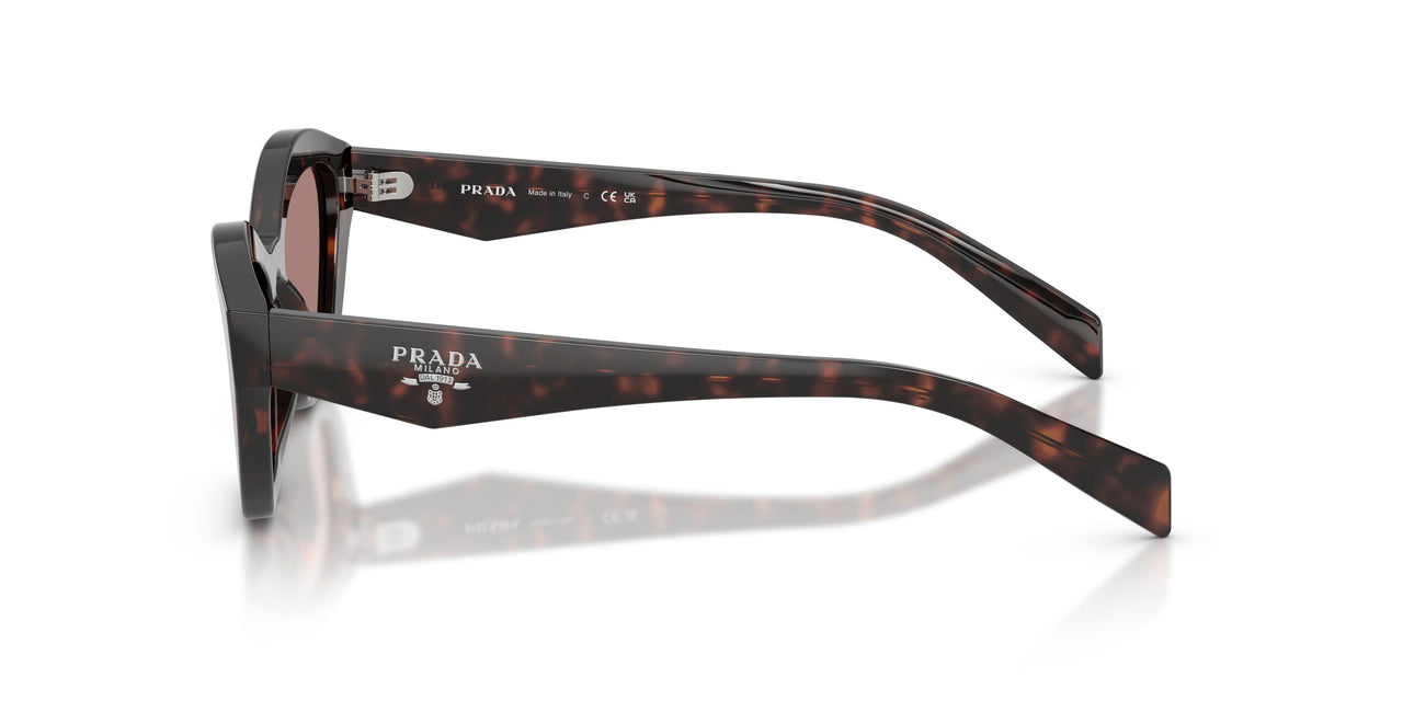 17N60B - Tortoise - Light Brown