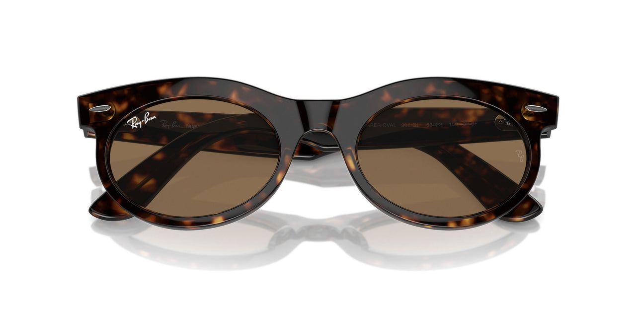 902/GI - Tortoise - Clear/brown