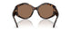 196473 - Tortoise - Brown