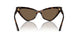 500273 - Tortoise - Dark Brown