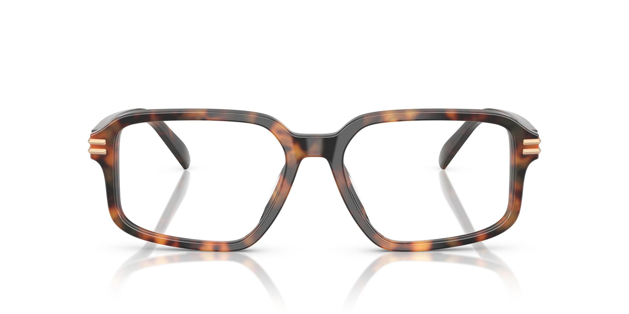 3904 - Tortoise