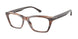 5903 - Tortoise