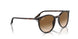 902/51 - Tortoise - Light Brown