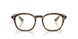 8487 - Tortoise - Clear