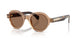 303773 - Brown - Dark Brown