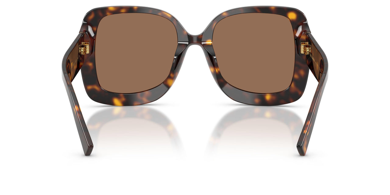 502/73 - Tortoise - Dark Brown