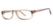 PLASTICS I OVERVIEW Eyeglasses