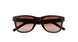 004 - Havana - Brown