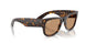 902/53 - Tortoise - Brown