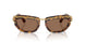 403573 - Tortoise - Dark Brown