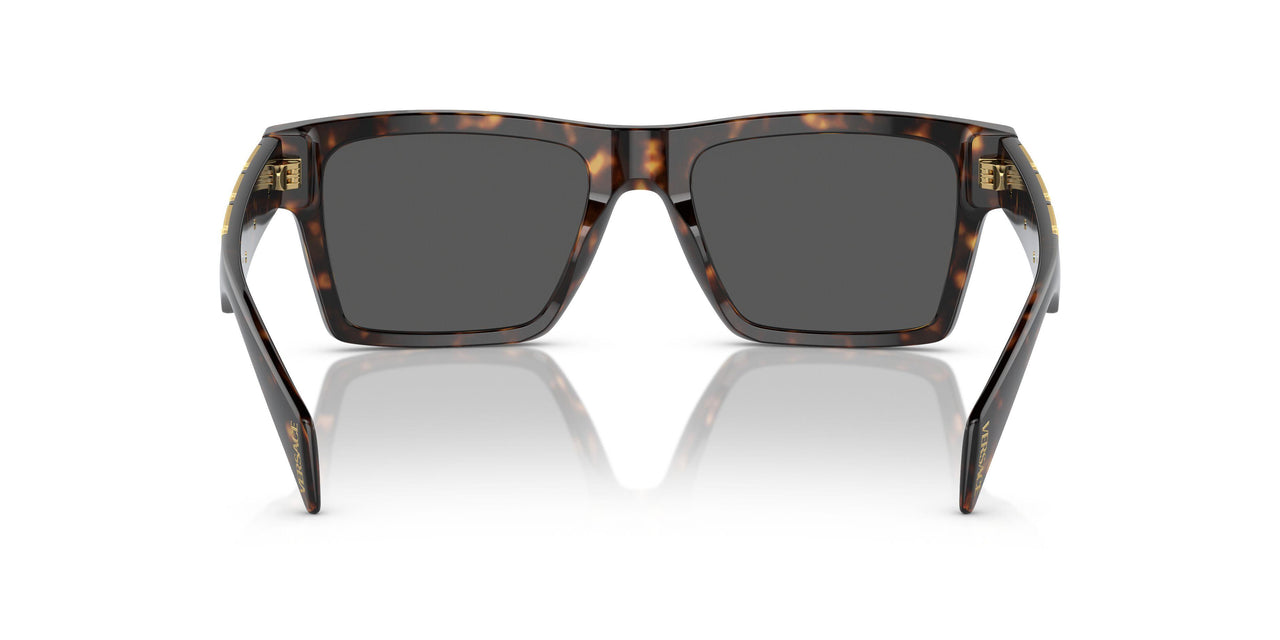 108/87 - Tortoise - Dark Grey