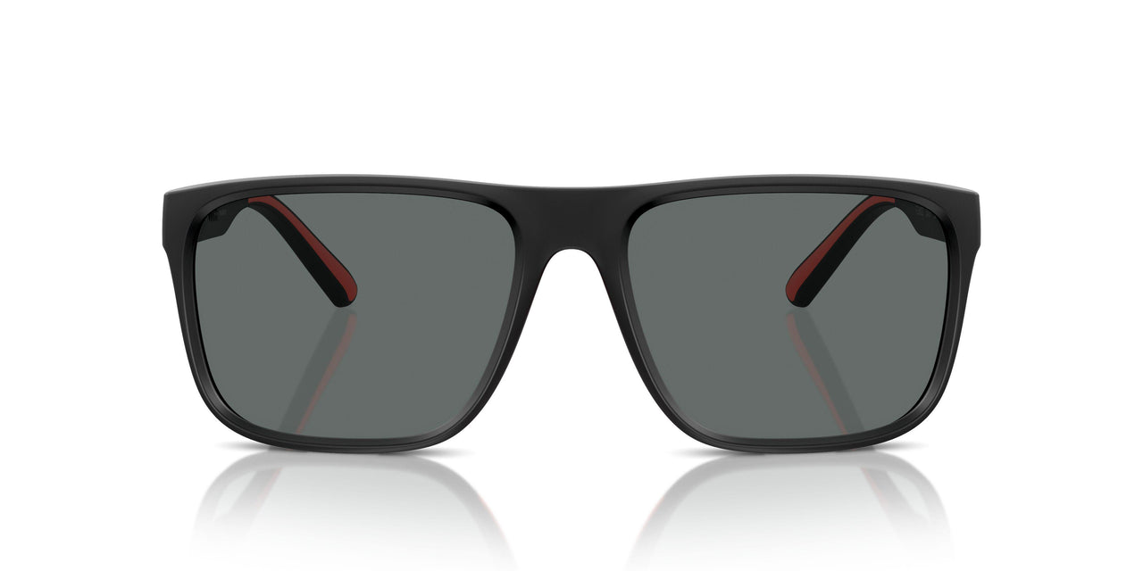 504/81 - Black - Polarized Grey